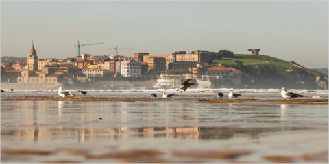 El proyecto ‘Gijón Ecoresiliente’ renaturalizará el espacio urbano de la ciudad con fondos europeos