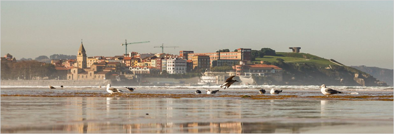 Proyecto 'Gijón Ecoresiliente'