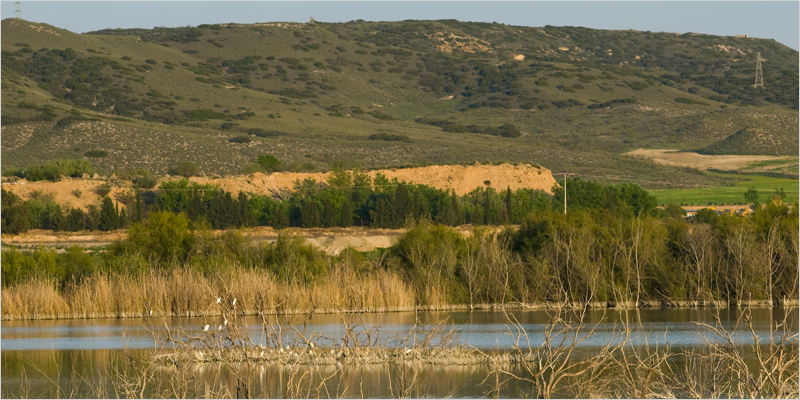 Cemex y SEO/BirdLife renuevan y fortalecen su colaboración