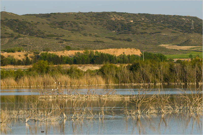 CEMEX y SEO/BirdLife renuevan y fortalecen su colaboración