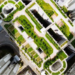 La Comunidad de Madrid elige a Arroyomolinos para instalar cubiertas verdes en edificios de Ciudad Jardín