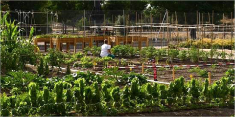 Encuentro de trabajo en Madrid sobre el programa ‘Barrios productores’