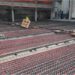 El suelo radiante Giacomini se instala en una nave industrial de la empresa portuguesa Monteiro Ribas