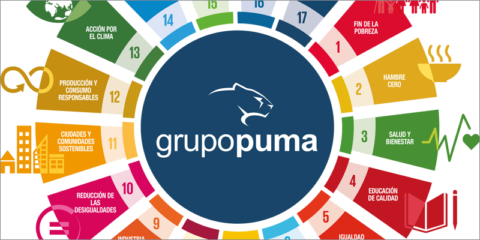 Asesoramiento técnico del Grupo Puma para proyectos de rehabilitación energética