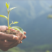 La Región de Murcia aprueba la convocatoria de ayudas del Plan PIMA Cambio Climático