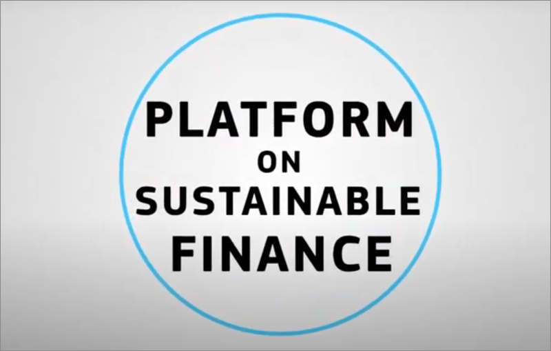 Platform on Sustainable Finance