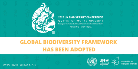La COP15 sobre biodiversidad culmina con el acuerdo de proteger el 30% de la superficie del planeta en 2030