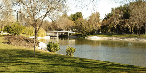 Acuerdo para un concurso de ideas para el proyecto de transformación urbana Madrid Nuevo Sur