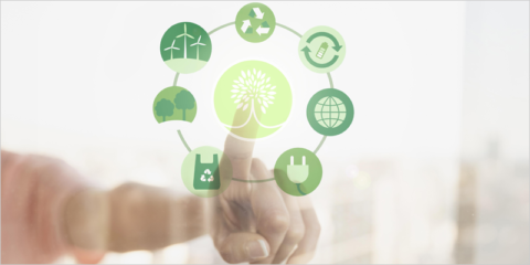Convocatoria de ayudas para proyectos que impulsen la economía circular en comunidades rurales