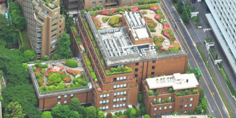 Beneficios de utilizar cubiertas ajardinadas de ChovA en las ciudades