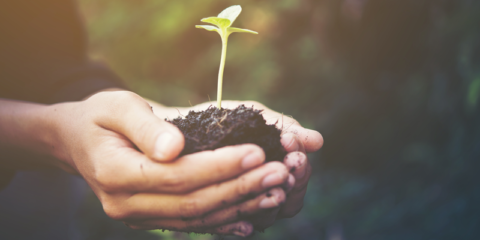 La Comunidad Valenciana destina 2,3 millones para luchar contra el cambio climático en los municipios