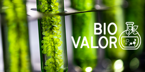 El proyecto Biovalor impulsará la agricultura sostenible para hacer frente al cambio climático