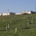 Pamplona completa el bosque que funcionará durante 30 años como sumidero de CO2
