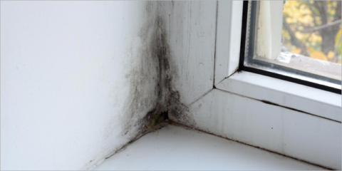 La compañía Soler & Palau expone la importancia de la ventilación en proyectos de rehabilitación