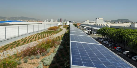 Barcelona destina ayudas para la implementación de cubiertas verdes en los edificios de la ciudad