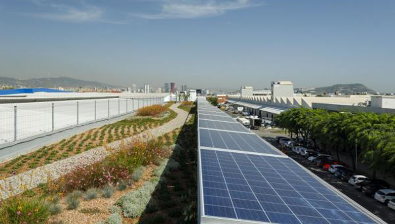 Ayudas cubiertas verdes y naturalización en Barcelona