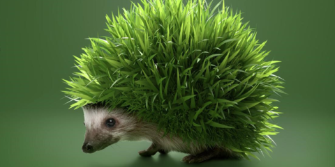 La gama de soluciones sostenibles de RENOLIT estará presente en la feria Construmat 2023