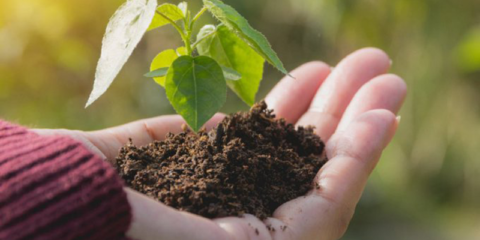 La Comisión Europea lanza una consulta pública sobre el objetivo climático de la UE para 2040