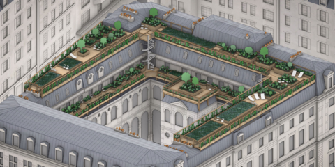 Espacios verdes en los tejados inclinados de París para bajar las temperaturas y mejorar la resiliencia