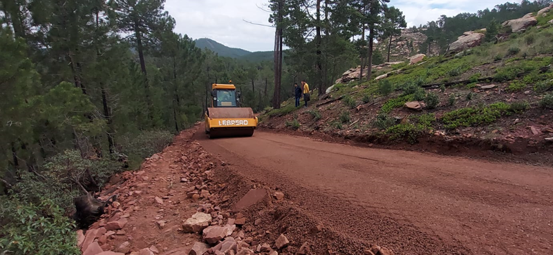 Pistas forestales de hormigón seguras y eficientes de Cemex