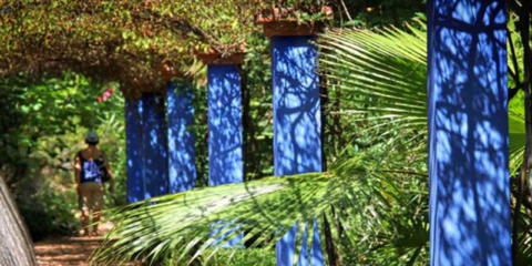 Línea de ayudas para renaturalizar el entorno construido y la edificación en la Comunidad Valenciana