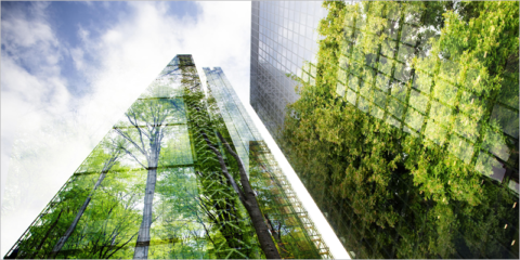 Seleccionados 19 nuevos proyectos en la convocatoria de ayudas para la renaturalización de las ciudades