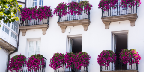Ferrol recibirá 3,5 millones de euros para obras de rehabilitación energética en cuatro barrios