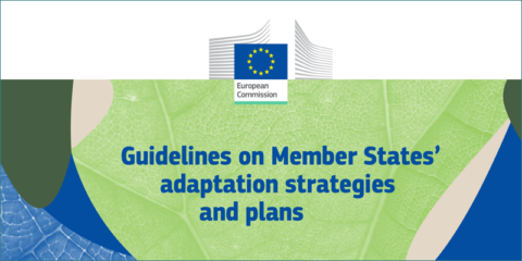 Directrices de la CE sobre las estrategias de adaptación al cambio climático de los Estados miembros