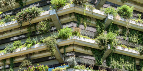 Luz verde al Observatorio de Salud y Cambio Climático que alertará sobre los riesgos climáticos