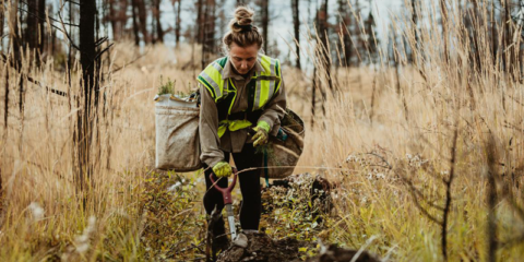 El Parlamento Europeo adopta su posición sobre la ley de restauración de la naturaleza