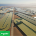 Solución de automatización y control de Schneider Electric para capturar de carbono a partir de algas