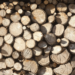 Abierto el plazo para participar en un curso de construcción industrializada y eficiente con madera en Galicia