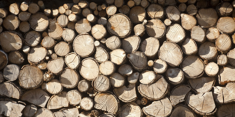 La Xunta de Galicia participa en un curso de formación en construcción industrializada y eficiente con madera