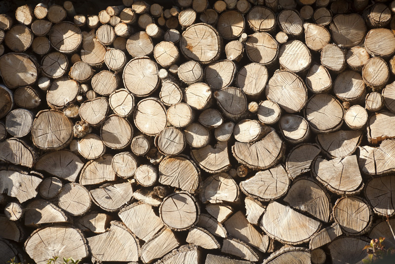 La Xunta de Galicia participa en un curso de formación en construcción industrializada y eficiente con madera