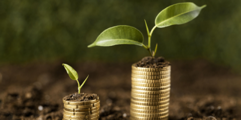 Grupo BEI y Banco Santander destinarán 990 millones para apoyar la transición ecológica de las pymes