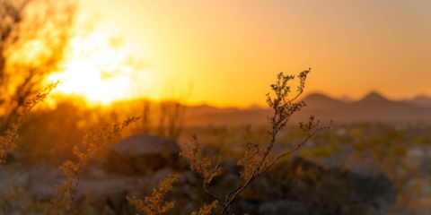 Abierta la convocatoria de ayudas en Cataluña para proyectos que mitiguen el cambio climático