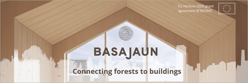 Proyecto Basajaun