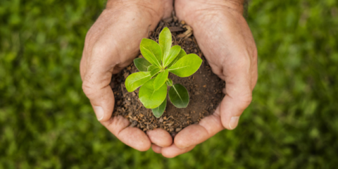 Aprobadas las conclusiones del Consejo Europeo para alcanzar los Objetivos de Desarrollo Sostenible