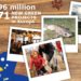 La CE aprueba más de 396 millones para proyectos del programa LIFE de medio ambiente y clima