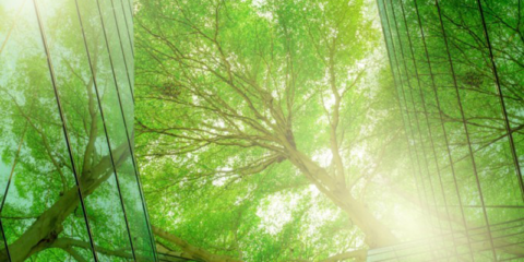 Schneider Electric adquiere la consultoría climática EcoAct para acelerar la descarbonización