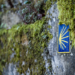 Galicia convoca ayudas para impulsar la rehabilitación de edificios singulares del Camino de Santiago