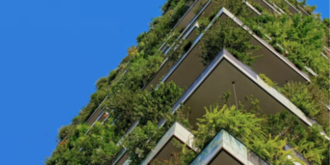 Ventajas de utilizar sistemas de cubiertas ajardinadas de ChovA