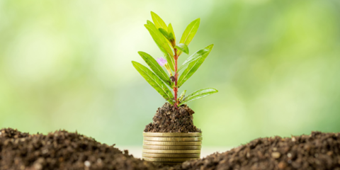 El Consejo Europeo acuerda su mandato de negociación sobre las calificaciones ESG