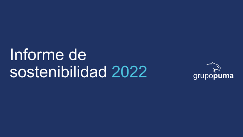 Informe de Sostenibilidad Grupo Puma 2022