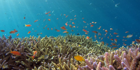 El Miteco publica un informe que analiza cómo los fondos del PRTR contribuyen a la transición ecológica