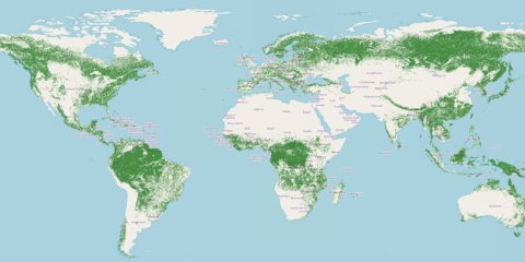 El Observatorio de la UE sobre la deforestación a escala mundial entra en funcionamiento