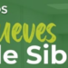 Siber ofrece cursos de formación teórico-prácticos en Madrid para mejorar la calidad del aire interior
