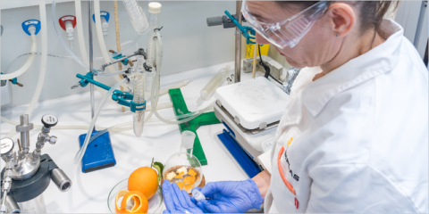 El proyecto Build-Limonene creará materiales de construcción a partir de CO2 y pieles de cítricos
