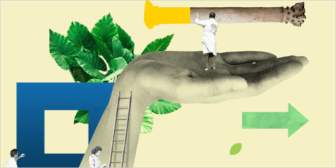 Nueva guía práctica para una gestión eficiente y sostenible del patrimonio