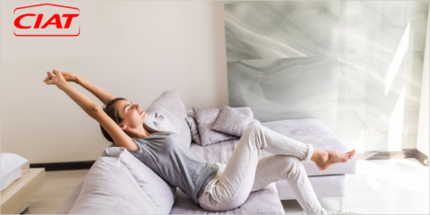 Los sistemas de climatización de CIAT garantizan la calidad del aire interior de los edificios